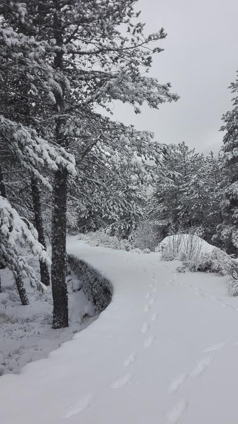 Pousada Da Serra Da Estrela Ковильян Экстерьер фото
